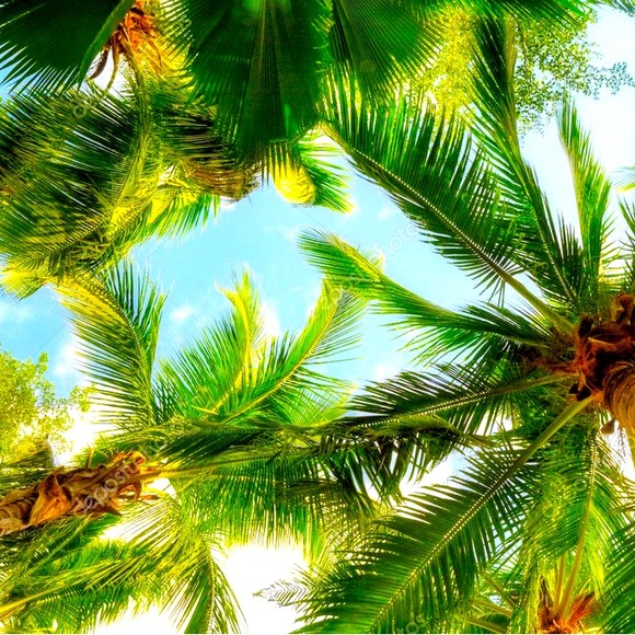 Meet your Posher, Tyler - Picture 1 of 1